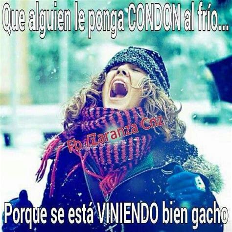 que frio imagenes graciosas|48 ideas de Frío 